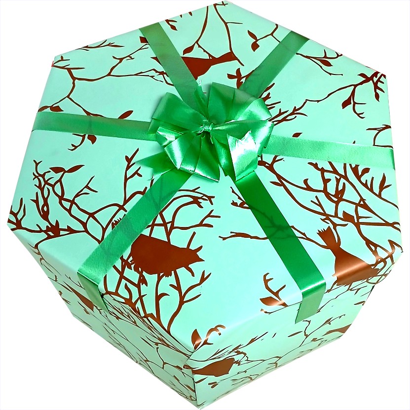 Biltong and Savoury Snacks Explosion Box | Pop-Up Gift Hamper