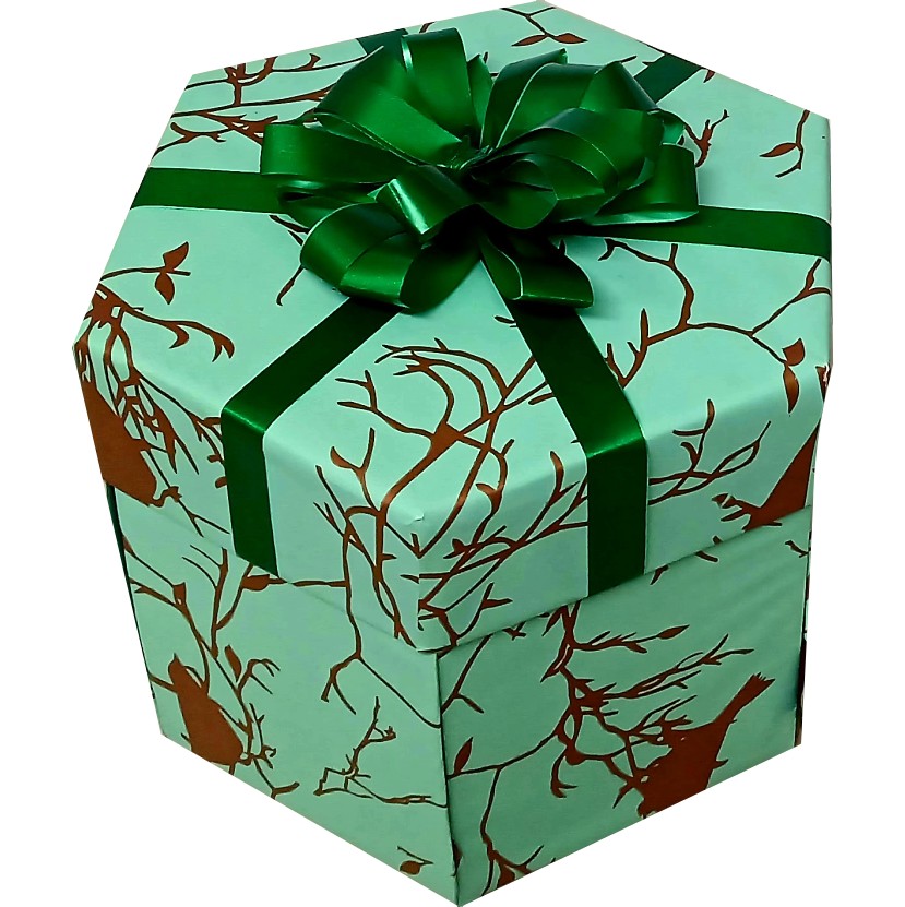 Biltong and Savoury Snacks Mini | 2-layer Explosion Box | Gift Hamper